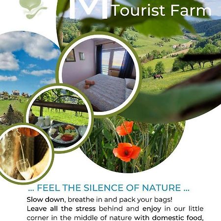 Villa Masnec Tourist Farm Miljana Exterior foto