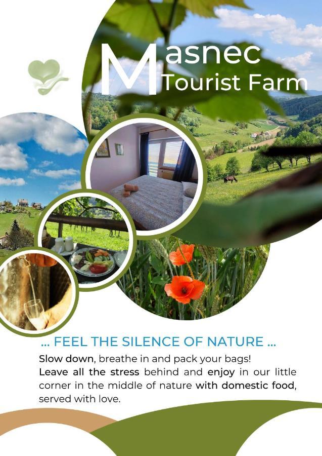 Villa Masnec Tourist Farm Miljana Exterior foto